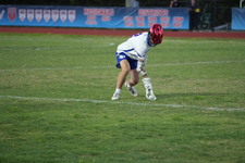 Enlarge photo 329