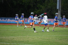 Enlarge photo 357