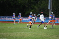 Enlarge photo 358