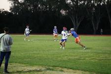 Enlarge photo 382
