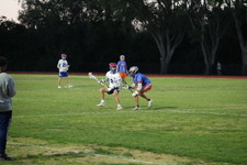 Enlarge photo 385