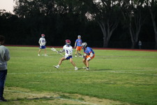 Enlarge photo 386