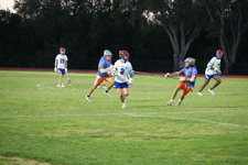 Enlarge photo 393