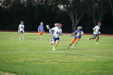 Enlarge photo 394
