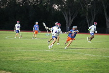 Enlarge photo 395