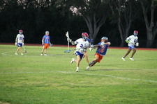 Enlarge photo 396