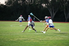 Enlarge photo 418