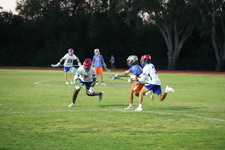 Enlarge photo 419