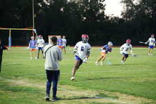 Enlarge photo 423