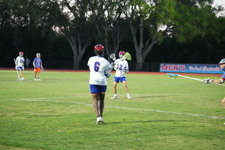 Enlarge photo 439