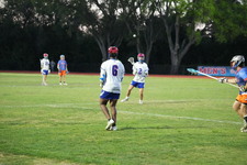 Enlarge photo 440