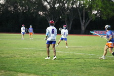 Enlarge photo 441
