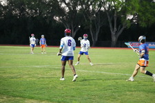Enlarge photo 442