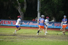 Enlarge photo 535