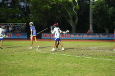 Enlarge photo 931