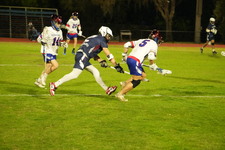 Enlarge photo 82