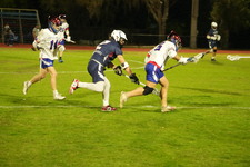 Enlarge photo 84