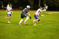 Enlarge photo 86