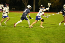 Enlarge photo 85