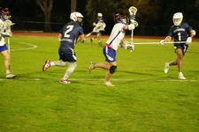 Enlarge photo 87