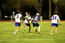 Enlarge photo 92