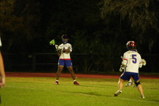 Enlarge photo 144