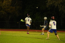 Enlarge photo 149