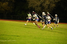 Enlarge photo 184