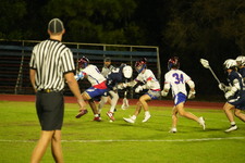 Enlarge photo 209