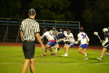 Enlarge photo 210
