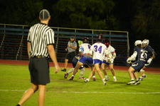 Enlarge photo 213