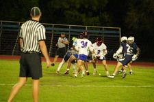 Enlarge photo 215