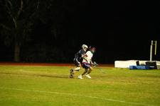 Enlarge photo 223