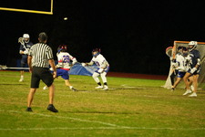Enlarge photo 451