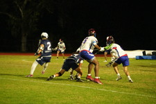 Enlarge photo 479