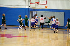 Enlarge photo 63