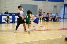 Enlarge photo 115