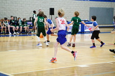 Enlarge photo 141