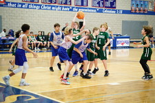 Enlarge photo 158
