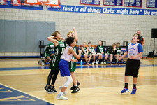 Enlarge photo 171