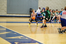 Enlarge photo 233