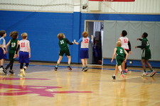Enlarge photo 246