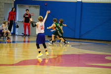 Enlarge photo 247