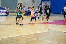 Enlarge photo 255