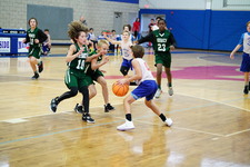 Enlarge photo 256