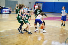 Enlarge photo 259