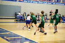 Enlarge photo 263
