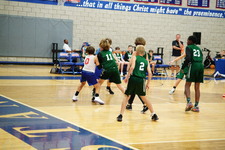Enlarge photo 264