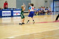 Enlarge photo 294