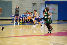Enlarge photo 305